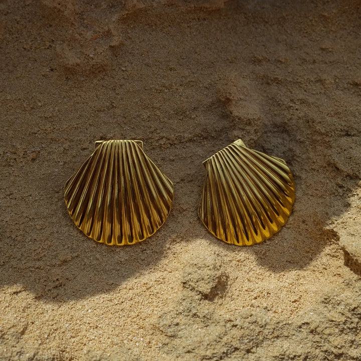 Hazel - Seashell Studs