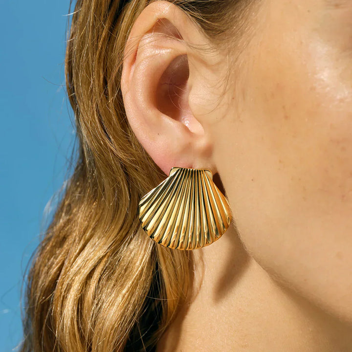 Hazel - Seashell Studs